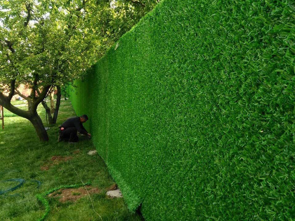 Clôture D’herbe-1