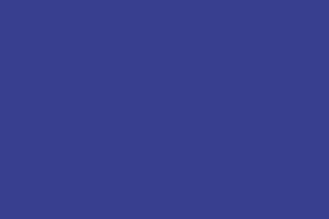 Pool Bleu Piscine 10×20