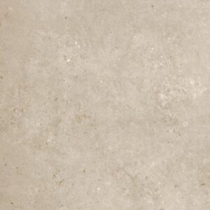 Absolute Gris 60×60