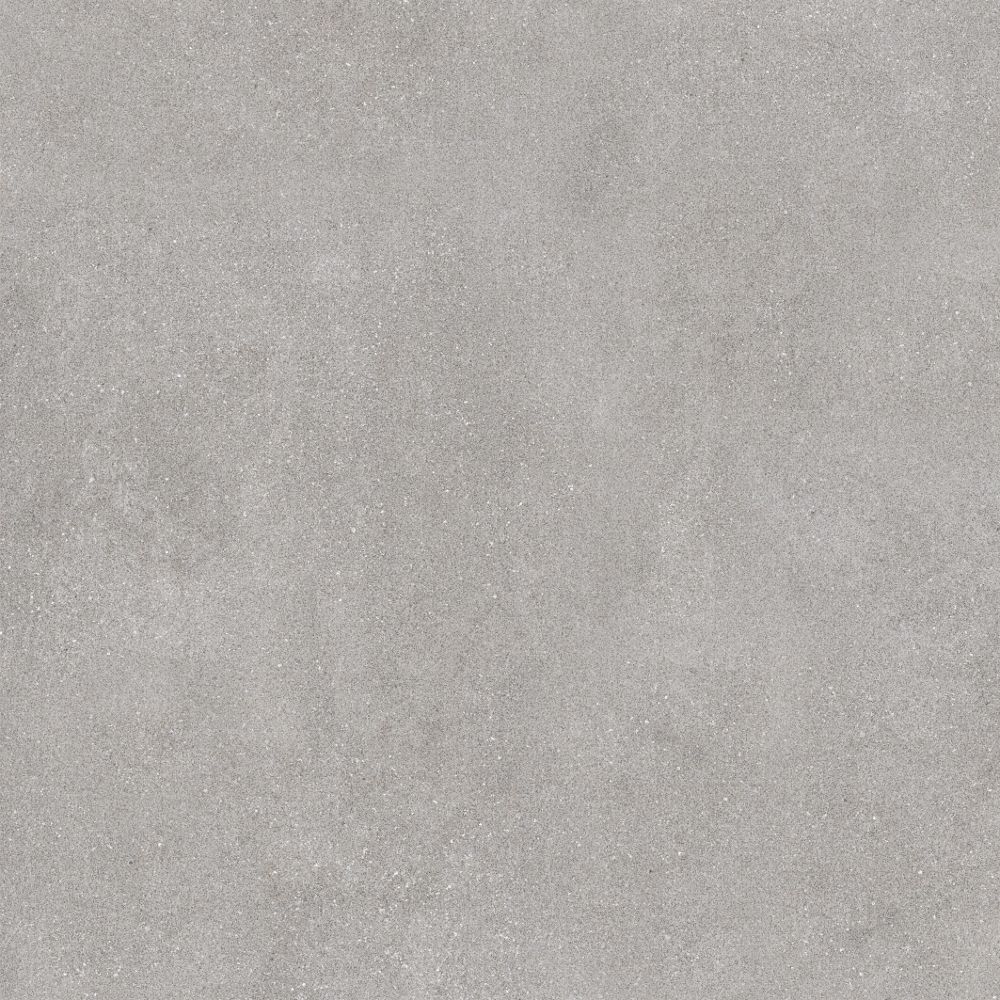 Ege Tech Gris Rectifié 60×60