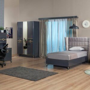 Dali Ensemble Chambre Jeune